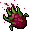 Futton Chakra Fruit